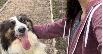 laëtitia pet sitter à CHAMELET 69620_2