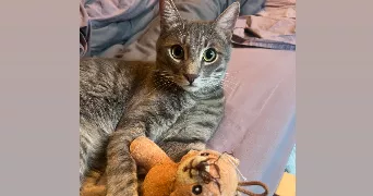 ella pet sitter à Moirans 38430