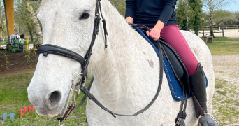 açelya pet sitter à BEAUGENCY 45190_2