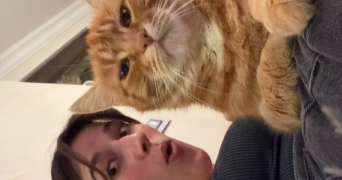 emilie pet sitter à STE GENEVIEVE DES BOIS 91700_1