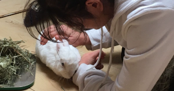 noémie pet sitter à YERRES 91330_3