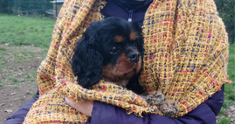 lucie pet sitter à VILLEURBANNE 69100_2