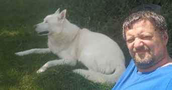chris pet sitter à CHARTRES 28000_0
