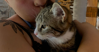 eve-anne pet sitter à RENNES 35700_1