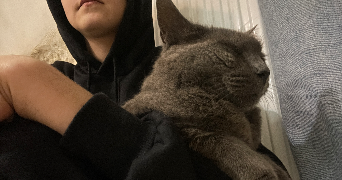 clarisse pet sitter à MARSEILLE 02 13002_1