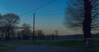 camille pet sitter à MEDREAC 35360