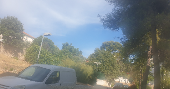 nicolas pet sitter à MARSEILLE 09 13009_5