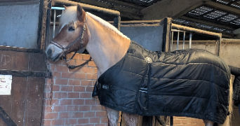 amandine pet sitter à NOYELLES SOUS LENS 62221_7