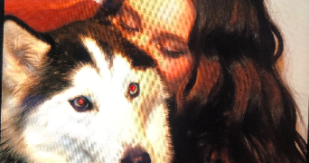 bérénice pet sitter à MONCHAUX SUR ECAILLON 59224_1