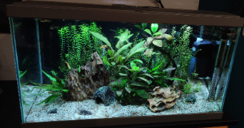 Charline pet sitter à LAGRAVE 81150_2