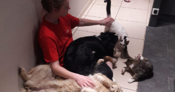 léane pet sitter à REIGNIER ESERY 74930_2