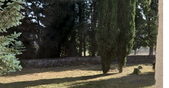 jeanne pet sitter à VILLE ST JACQUES 77130_1
