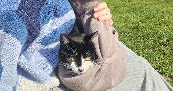laurie pet sitter à VENISSIEUX 69200_2