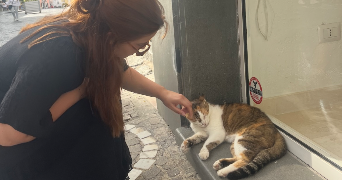 noémie pet sitter à PARIS 15 75015_4