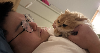 william pet sitter à SANNOIS 95110_4