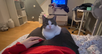 julie pet sitter à VANDOEUVRE LES NANCY 54500_3