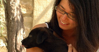 narae pet sitter à PERNES LES FONTAINES 84210_0