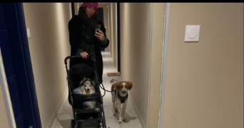 lucile pet sitter à VILLEURBANNE 69100_2