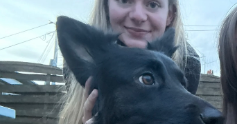 lola pet sitter à LOUPLANDE 72210_0
