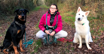 audrey pet sitter à MORTEFONTAINE EN THELLE 60570_2