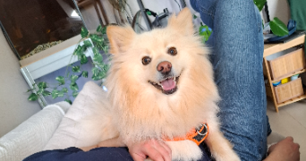 jeanne pet sitter à TROYES 10000_6