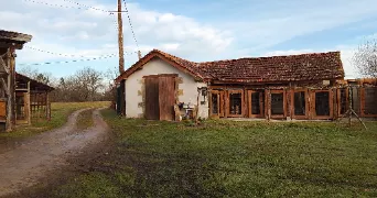 david pet sitter à BAZAS 33430