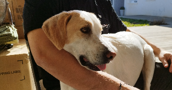 margot et adrien  pet sitter à Champigny sur marne  94500_4