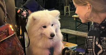 manon pet sitter à HOUILLES 78800_2