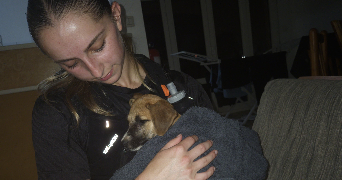 yvanna pet sitter à ORLEANS 45000_3