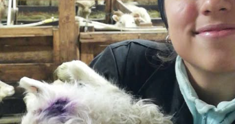 rachelle pet sitter à BOIS COLOMBES 92270_4