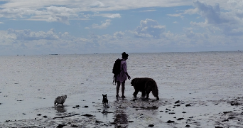 romane pet sitter à LISIEUX 14100_0