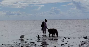 romane pet sitter à LISIEUX 14100