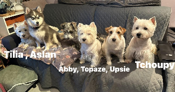 caroline pet sitter à St Cyr Sur Mer 83270_9