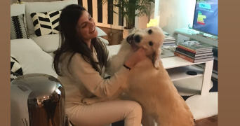 victoria pet sitter à Nanterre 92000_3