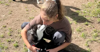 lisa pet sitter à PLESCOP 56890