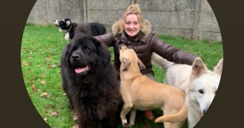 charlotte dog sitter à L ISLE ADAM 95290_5