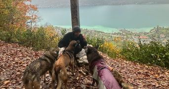 grégoire pet sitter à ANNECY 74940_1