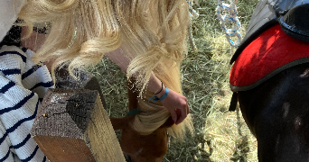 medina  pet sitter à Paris 75016_3