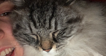 doria pet sitter à AIX EN PROVENCE 13100_1