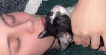 camille pet sitter à BITCHE 57230