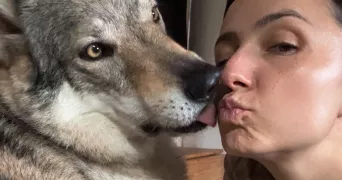 kenia pet sitter à ST GAUDENS 31800