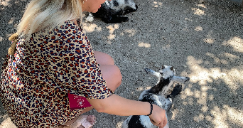 justine pet sitter à GAGNY 93220_2