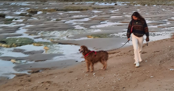 lisa pet sitter à LA ROCHELLE 17000_2