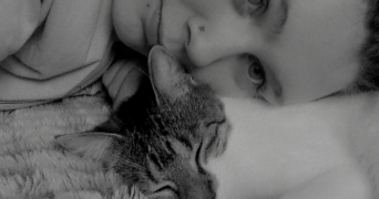 chatelain pet sitter à VENDIN LE VIEIL 62880_0