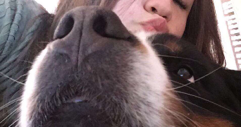 maïlys pet sitter à DIJON 21000_1