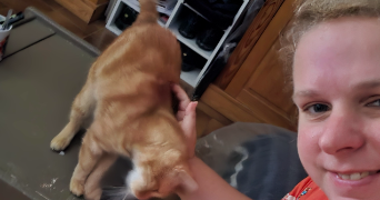 elodie pet sitter à COUBRON 93470_4