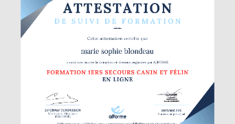 marie sophie pet sitter à ST AMAND VILLAGES 50160_3