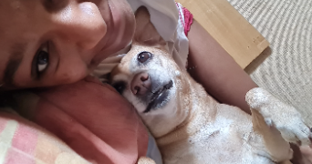céline pet sitter à BOISSY ST LEGER 94470_2