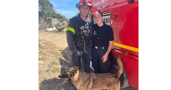 carlo et pet sitter à MAZAUGUES 83136_2