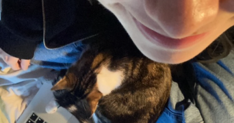 eva pet sitter à PARIS 16 75016_2